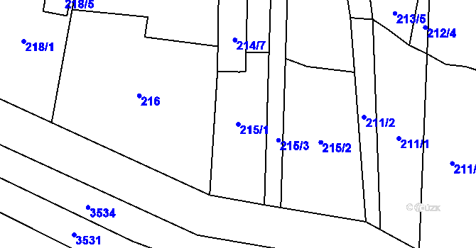 Parcela st. 215/1 v KÚ Tasovice nad Dyjí, Katastrální mapa