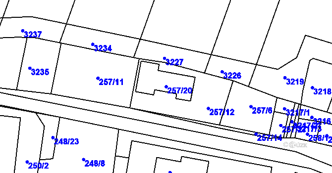 Parcela st. 257/20 v KÚ Tasovice nad Dyjí, Katastrální mapa