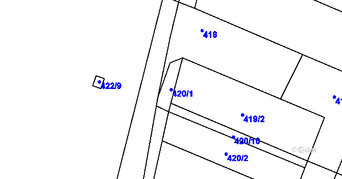 Parcela st. 420/1 v KÚ Tasovice nad Dyjí, Katastrální mapa
