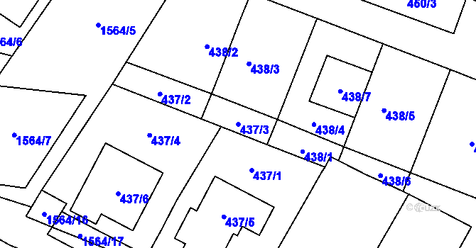 Parcela st. 437/3 v KÚ Tasovice nad Dyjí, Katastrální mapa