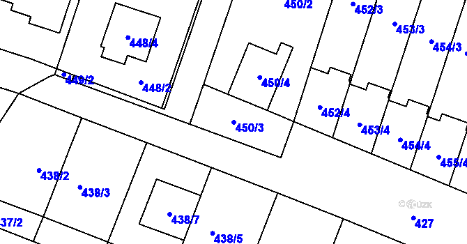 Parcela st. 450/3 v KÚ Tasovice nad Dyjí, Katastrální mapa