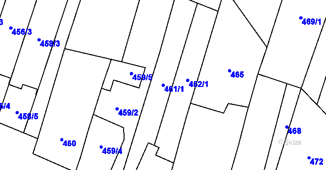 Parcela st. 461/1 v KÚ Tasovice nad Dyjí, Katastrální mapa