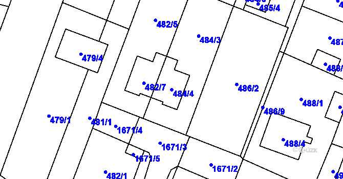 Parcela st. 484/4 v KÚ Tasovice nad Dyjí, Katastrální mapa