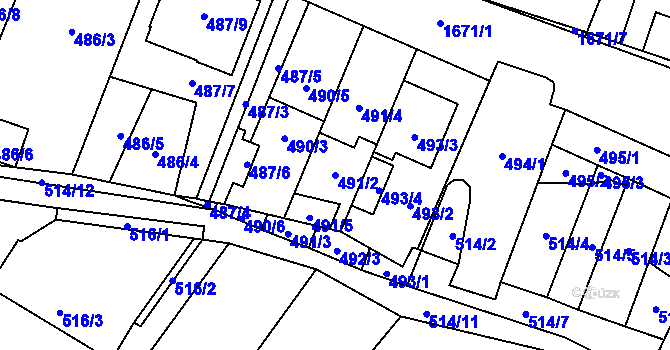 Parcela st. 491/2 v KÚ Tasovice nad Dyjí, Katastrální mapa