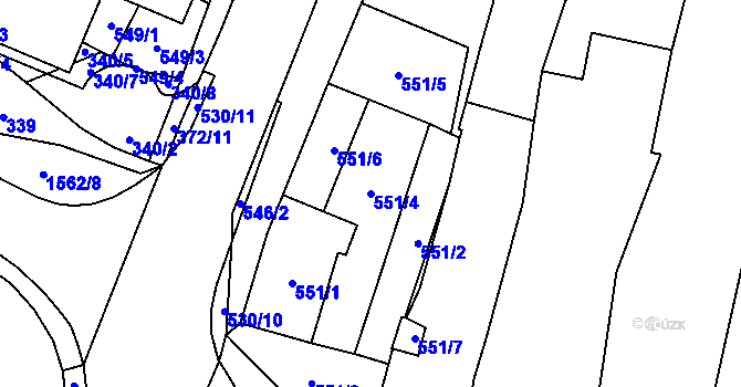 Parcela st. 551/4 v KÚ Tasovice nad Dyjí, Katastrální mapa