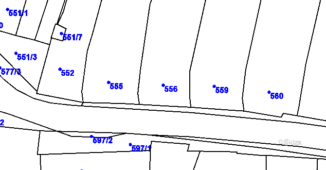 Parcela st. 556 v KÚ Tasovice nad Dyjí, Katastrální mapa