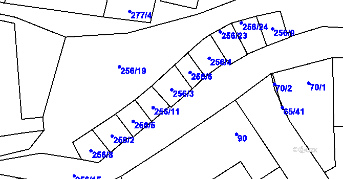Parcela st. 256/3 v KÚ Tasovice nad Dyjí, Katastrální mapa