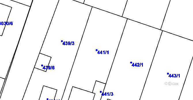 Parcela st. 441/1 v KÚ Tasovice nad Dyjí, Katastrální mapa
