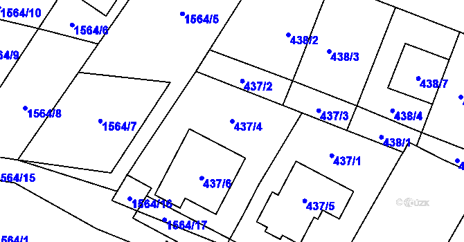 Parcela st. 437/4 v KÚ Tasovice nad Dyjí, Katastrální mapa