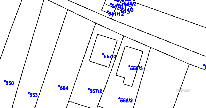 Parcela st. 557/3 v KÚ Tasovice nad Dyjí, Katastrální mapa