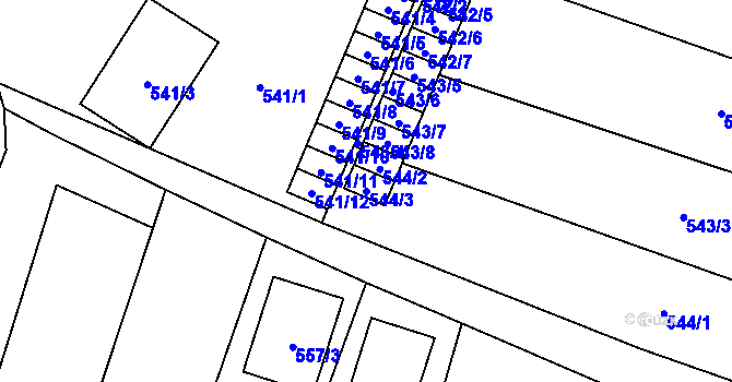 Parcela st. 544/3 v KÚ Tasovice nad Dyjí, Katastrální mapa