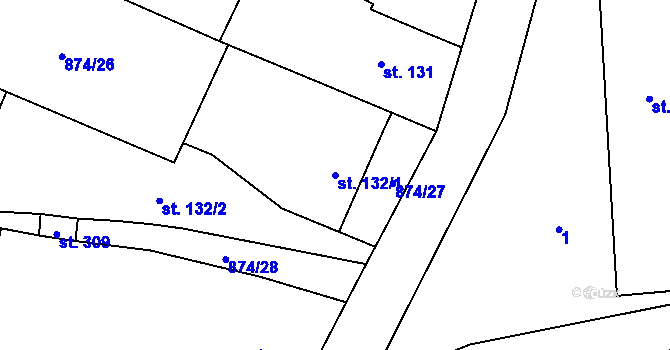 Parcela st. 132/1 v KÚ Tavíkovice, Katastrální mapa