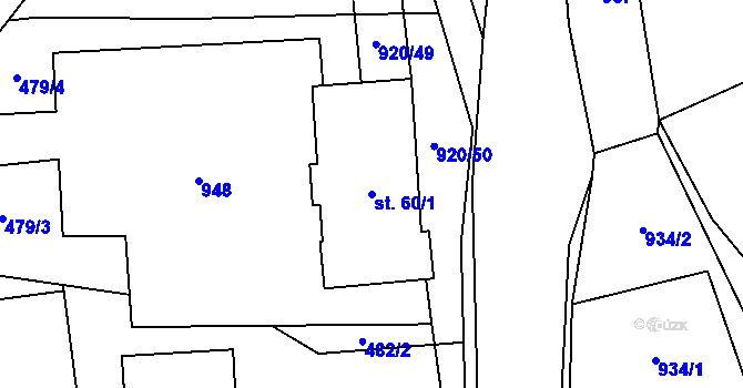 Parcela st. 60/1 v KÚ Těchanov, Katastrální mapa