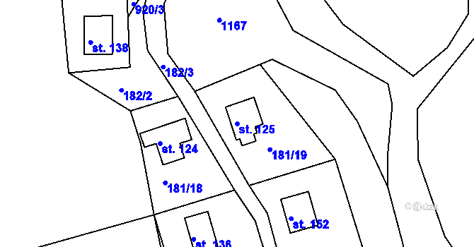 Parcela st. 125 v KÚ Těchobuz, Katastrální mapa