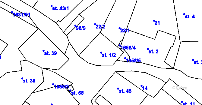 Parcela st. 1/2 v KÚ Těchonice, Katastrální mapa