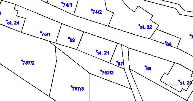 Parcela st. 21 v KÚ Těchonín, Katastrální mapa