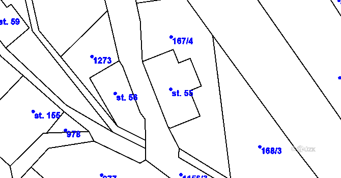 Parcela st. 55 v KÚ Těchonín, Katastrální mapa