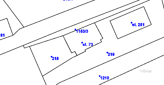 Parcela st. 73 v KÚ Těchonín, Katastrální mapa