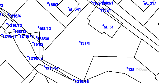Parcela st. 134/1 v KÚ Těchonín, Katastrální mapa