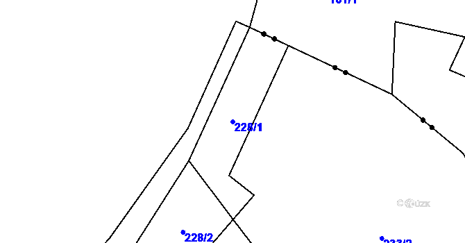 Parcela st. 228/1 v KÚ Těchonín, Katastrální mapa