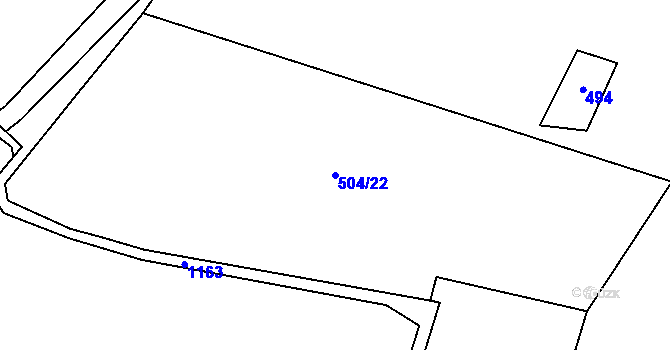 Parcela st. 504/22 v KÚ Těchonín, Katastrální mapa