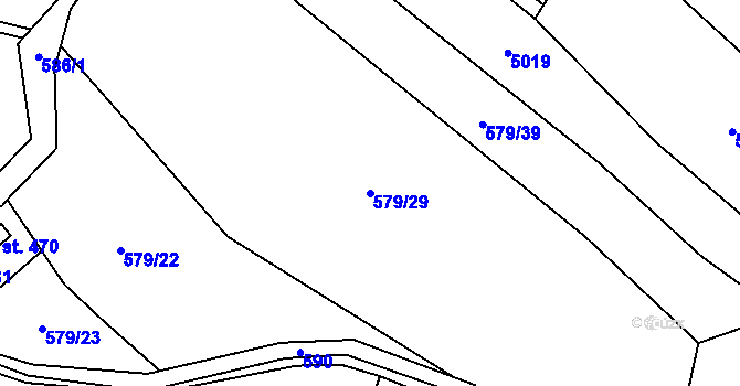 Parcela st. 579/29 v KÚ Těchonín, Katastrální mapa