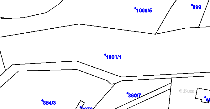 Parcela st. 1001/1 v KÚ Těchonín, Katastrální mapa