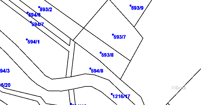 Parcela st. 593/8 v KÚ Těchonín, Katastrální mapa