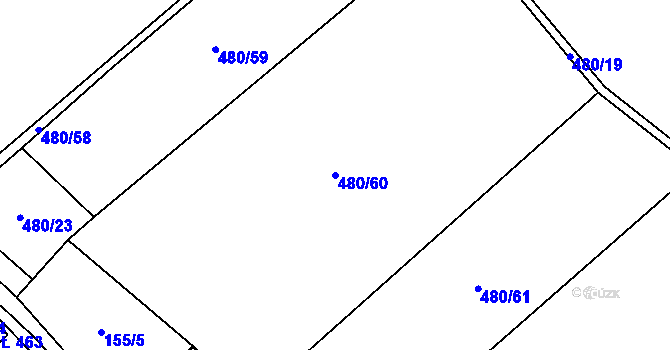 Parcela st. 480/60 v KÚ Těchonín, Katastrální mapa