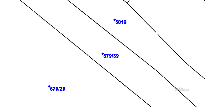 Parcela st. 579/39 v KÚ Těchonín, Katastrální mapa