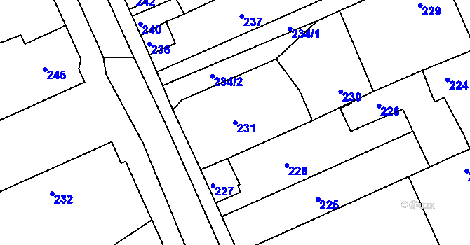 Parcela st. 231 v KÚ Těchov, Katastrální mapa