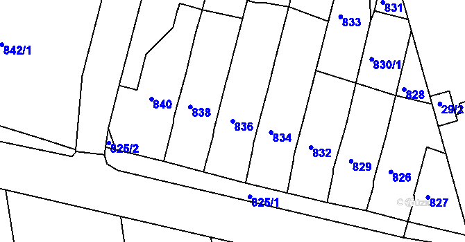 Parcela st. 836 v KÚ Těchov, Katastrální mapa