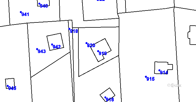 Parcela st. 919 v KÚ Těchov, Katastrální mapa