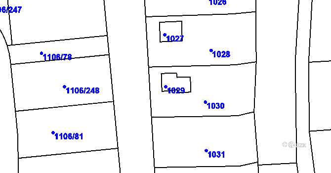 Parcela st. 1029 v KÚ Těchov, Katastrální mapa