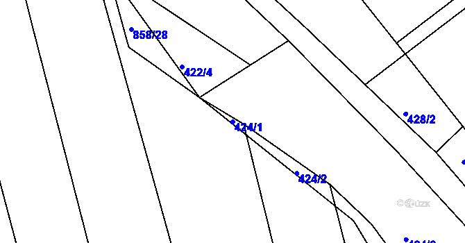Parcela st. 424/1 v KÚ Těchov, Katastrální mapa