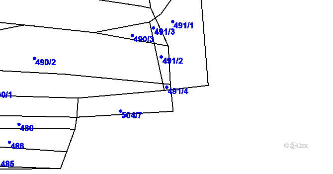 Parcela st. 491/4 v KÚ Těchov, Katastrální mapa