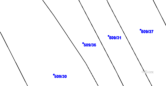 Parcela st. 509/36 v KÚ Těchov, Katastrální mapa