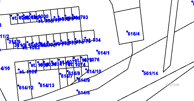 Parcela st. 614/1 v KÚ Teplá, Katastrální mapa
