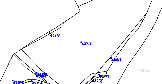 Parcela st. 437/1 v KÚ Prosetice, Katastrální mapa