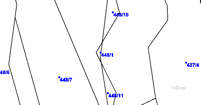 Parcela st. 448/1 v KÚ Lachov, Katastrální mapa