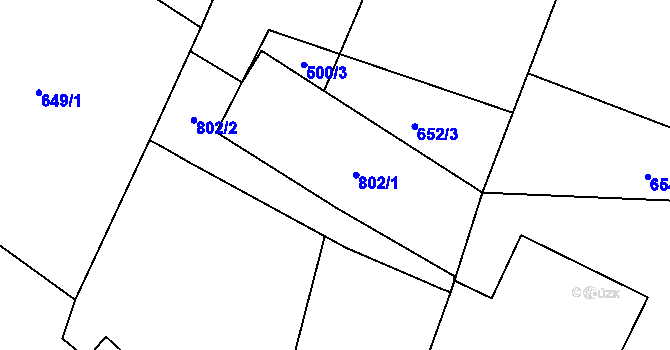Parcela st. 802 v KÚ Tereziny Dary, Katastrální mapa
