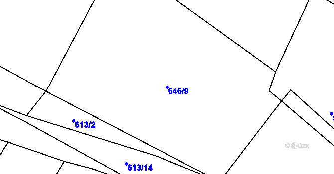 Parcela st. 646/9 v KÚ Tereziny Dary, Katastrální mapa