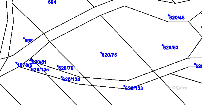 Parcela st. 620/75 v KÚ Těšánky, Katastrální mapa