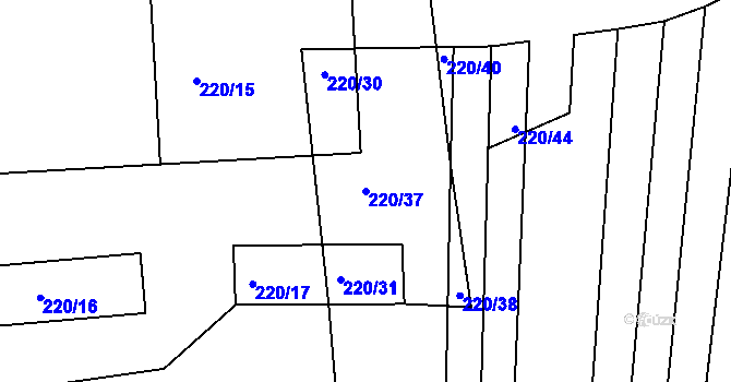 Parcela st. 220/37 v KÚ Těšenov, Katastrální mapa