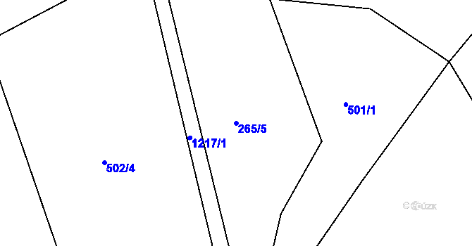 Parcela st. 265/5 v KÚ Těšenov, Katastrální mapa