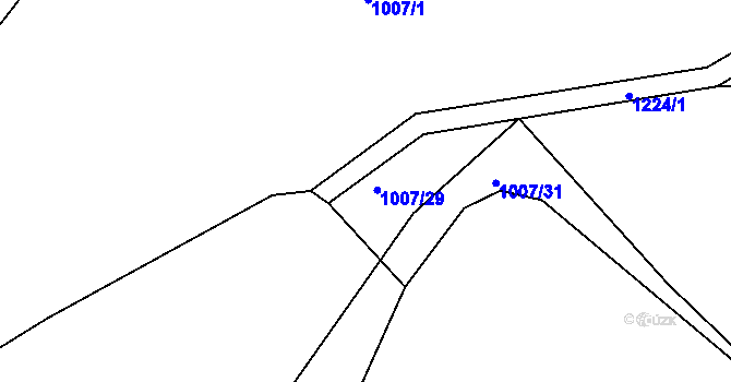 Parcela st. 1007/29 v KÚ Těšenov, Katastrální mapa