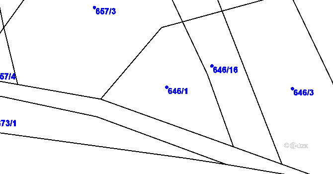 Parcela st. 646/1 v KÚ Těškovice, Katastrální mapa