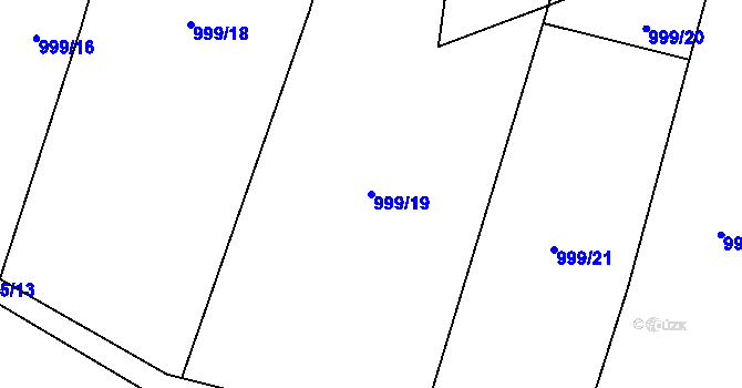 Parcela st. 999/19 v KÚ Těškovice, Katastrální mapa