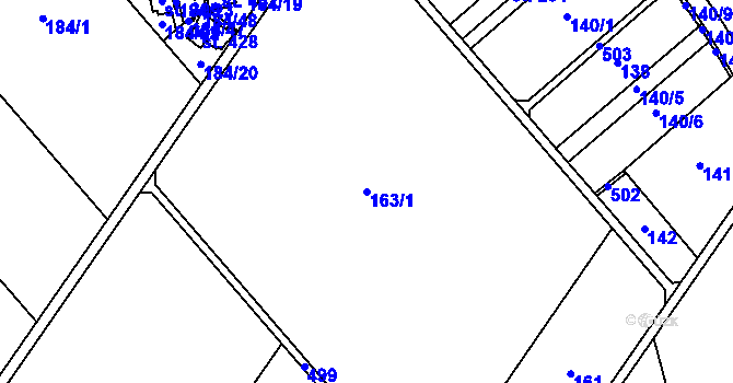 Parcela st. 163/1 v KÚ Trávník, Katastrální mapa