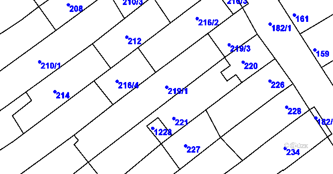 Parcela st. 219/1 v KÚ Těšov, Katastrální mapa